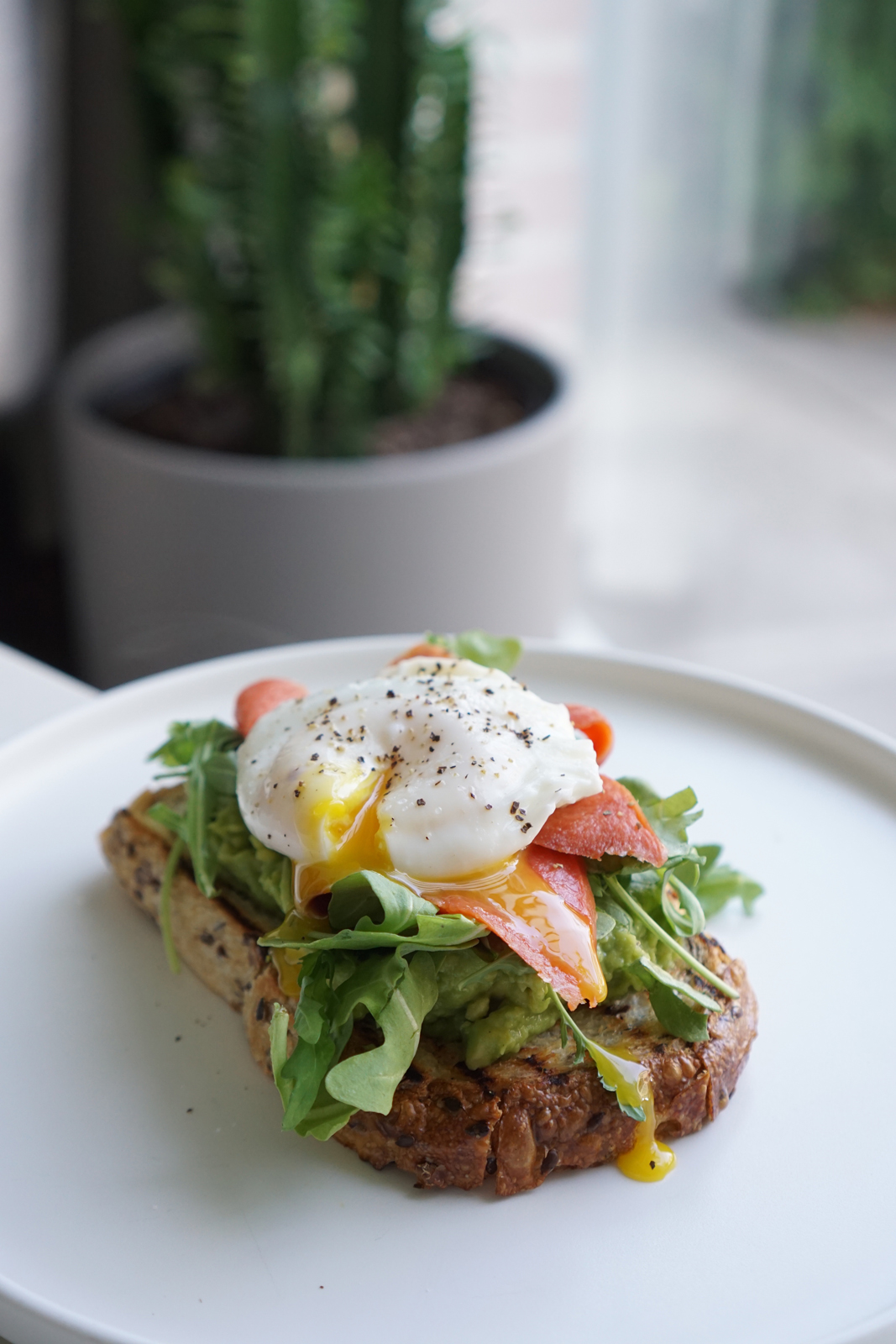 salmon toast with poached egg