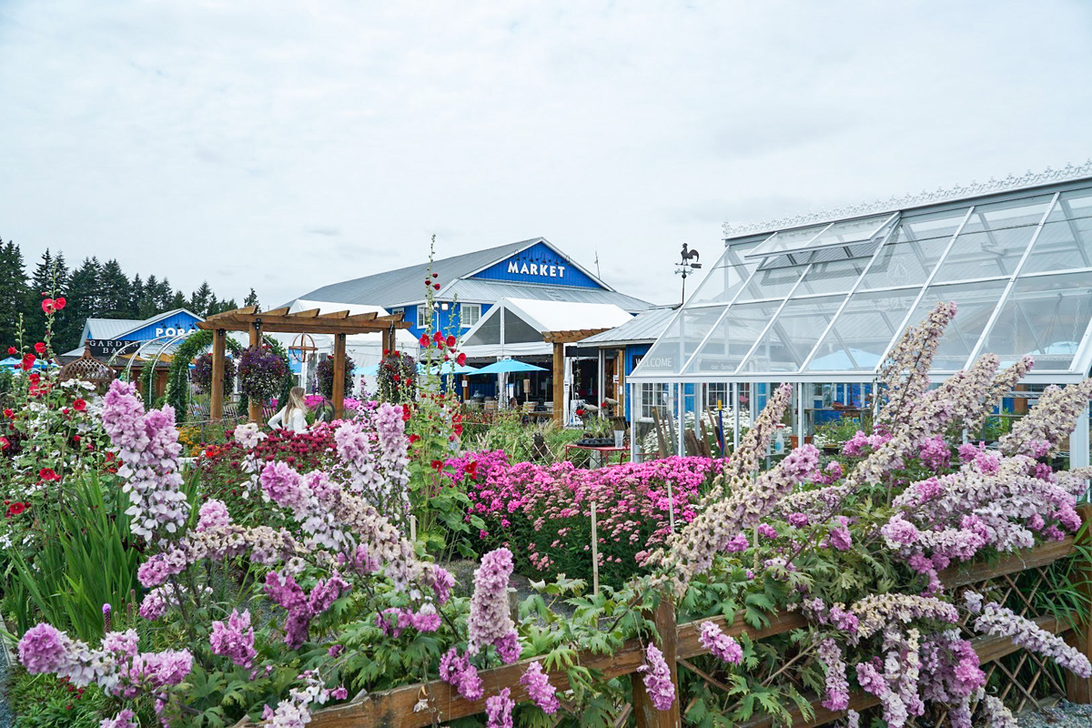 Krause Berry Farms & Estate Winery in Langley BC