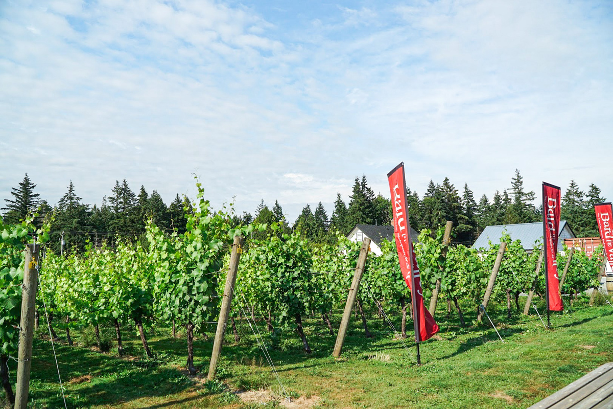 Township 7 Vineyards & Winery in Langley BC