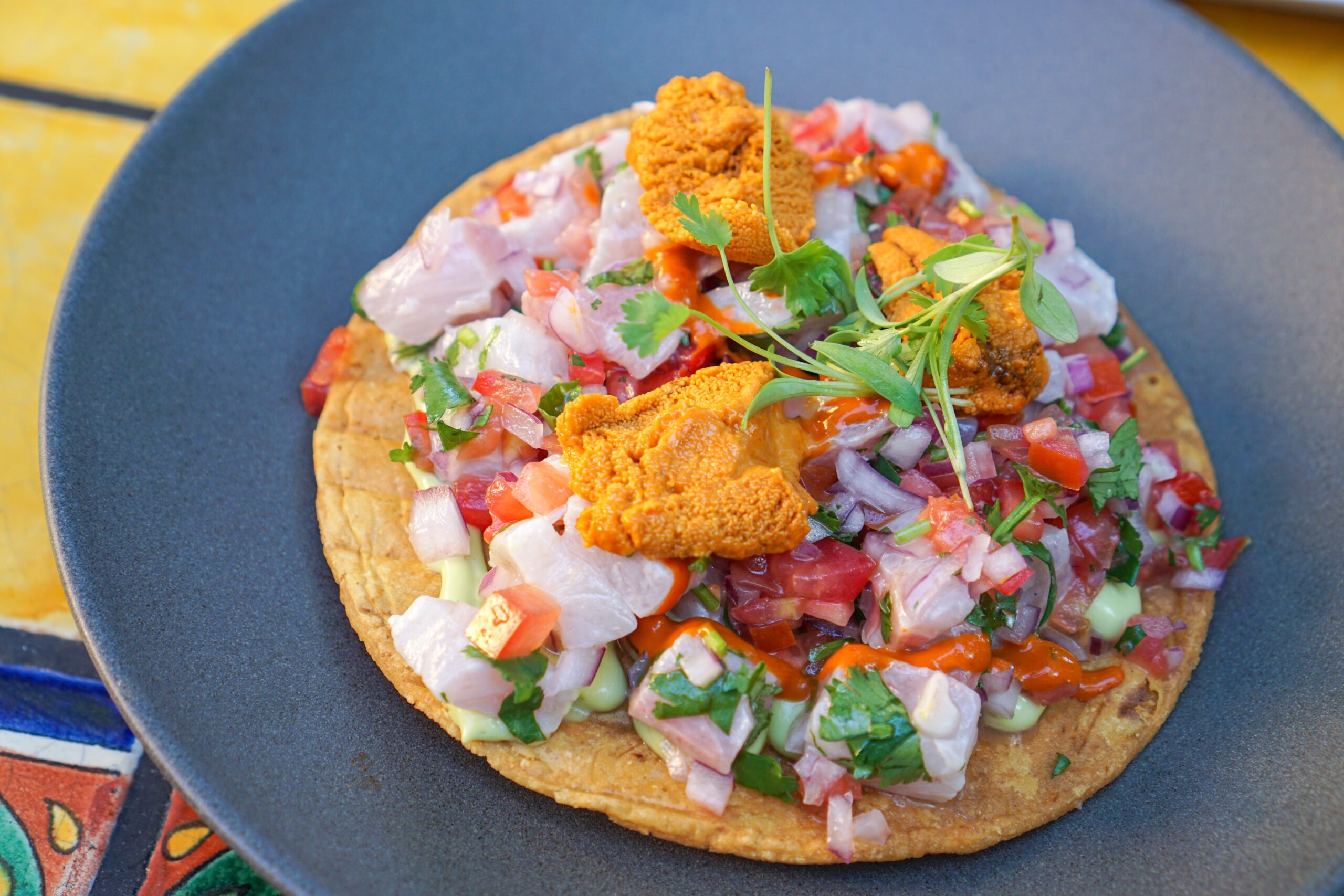 Holbox LA– Must Try Michelin Bib Gourmand Mexican Food in LA Kanpachi and Uni Tostada 
