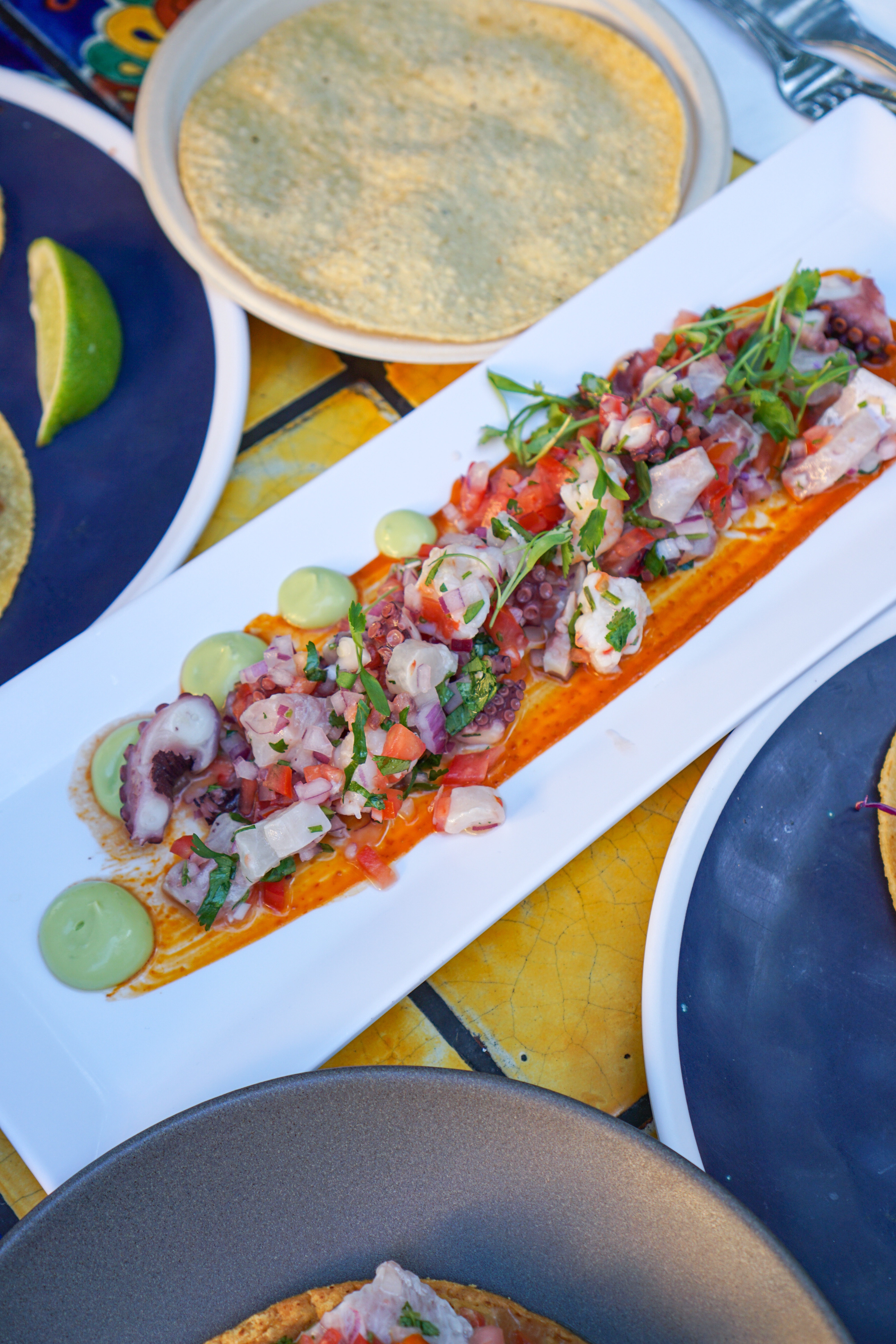 Holbox LA– Must Try Michelin Bib Gourmand Mexican Food in LA ceviche mixto