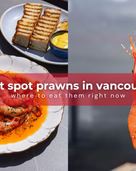 top 10 spots for spot prawn dishes in vancouver