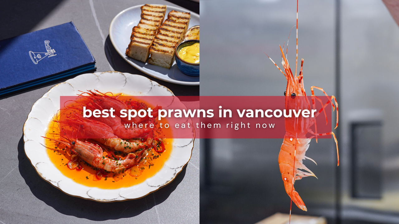 top 10 spots for spot prawn dishes in vancouver